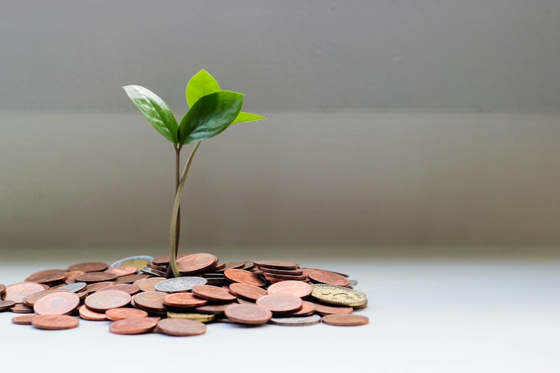Rendement et cash-flow